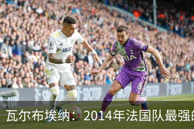 瓦尔布埃纳：2014年法国队最强的是博格巴，最被低估的是马图伊迪