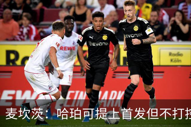麦坎茨：哈珀可提上首发但不打控卫 建议马刺留福克斯打五小